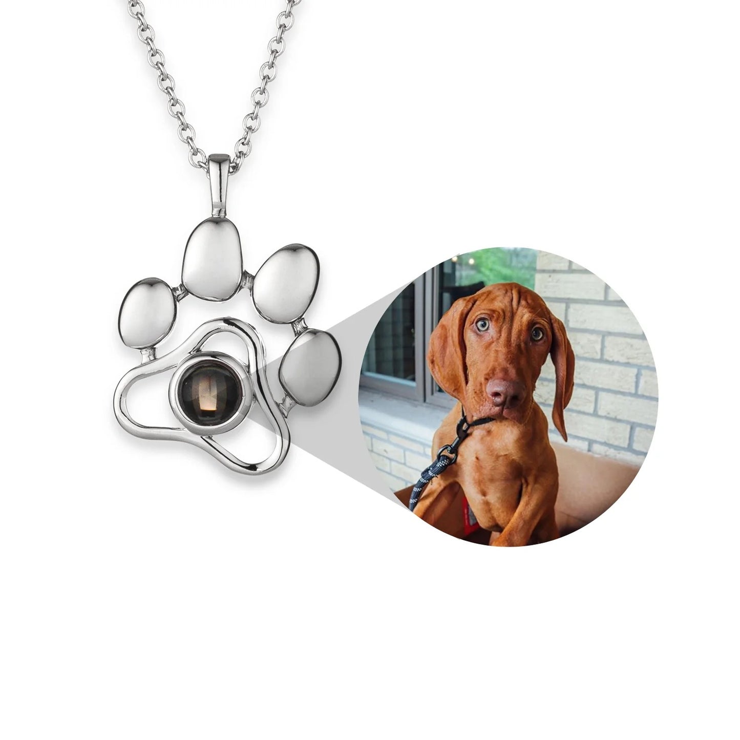 Collar personalizado con foto de mascota